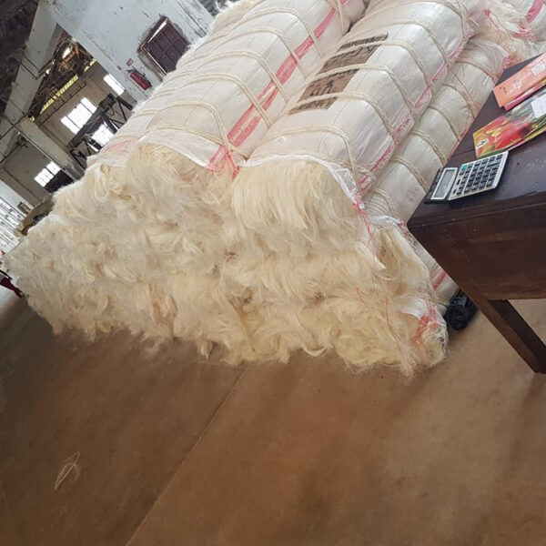 UG Grade A Sisal Fibre